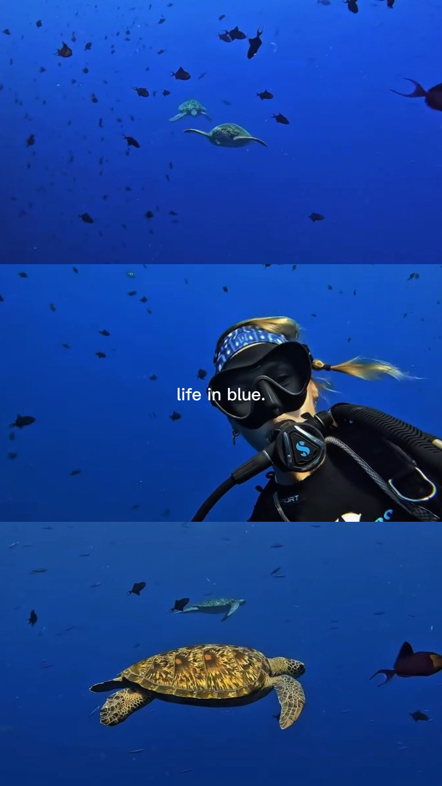 La vida en azul