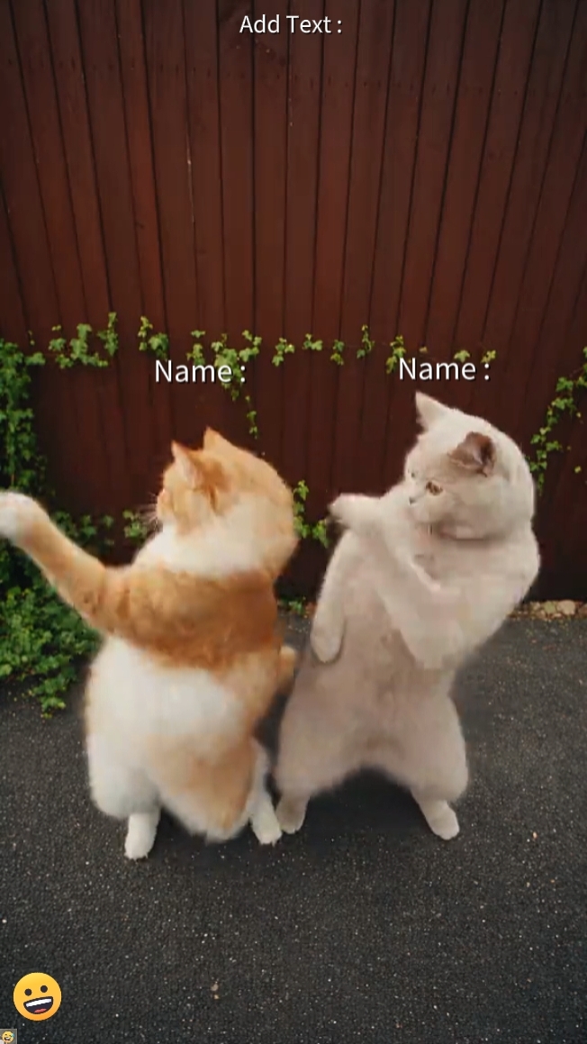 Tanzkatze Trend 