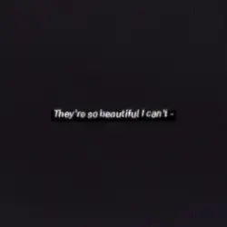 they're so beautiful