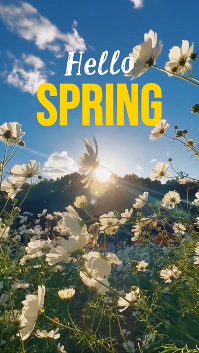 Bonjour PRINTEMPS 
