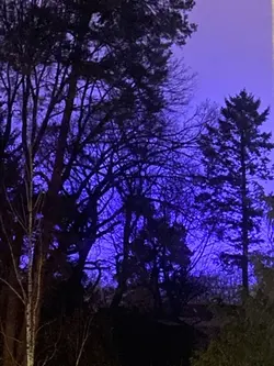 Gesicht aus Freunden