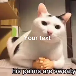 Eminem cat meme 