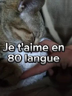 Je t'aime 