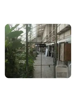 Rounded Photos
