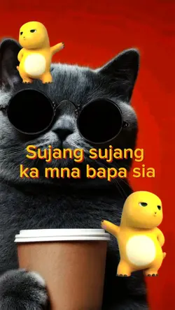 sujang sujang