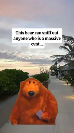 massive cvnt
