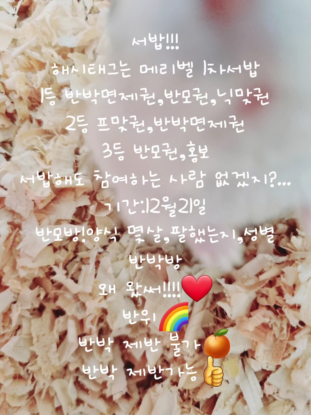서밥,반모방,반박방