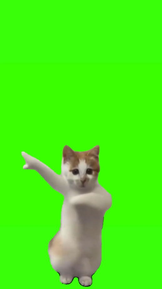 Meme ng pagsasayaw ng pusa