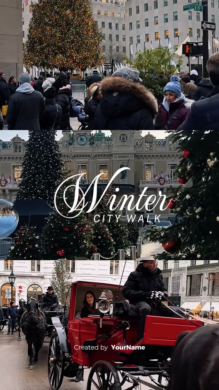 Promenade dans la ville d'hiver