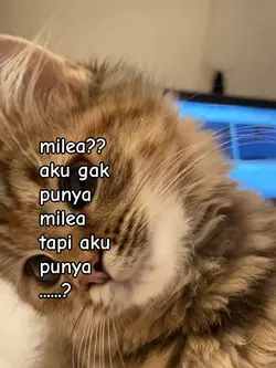 milea? aku gak punya