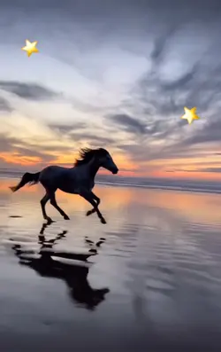 ⭐️🥹sunset🥹⭐️