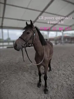 le poney de ma vieee