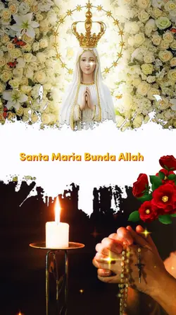 salam.maria