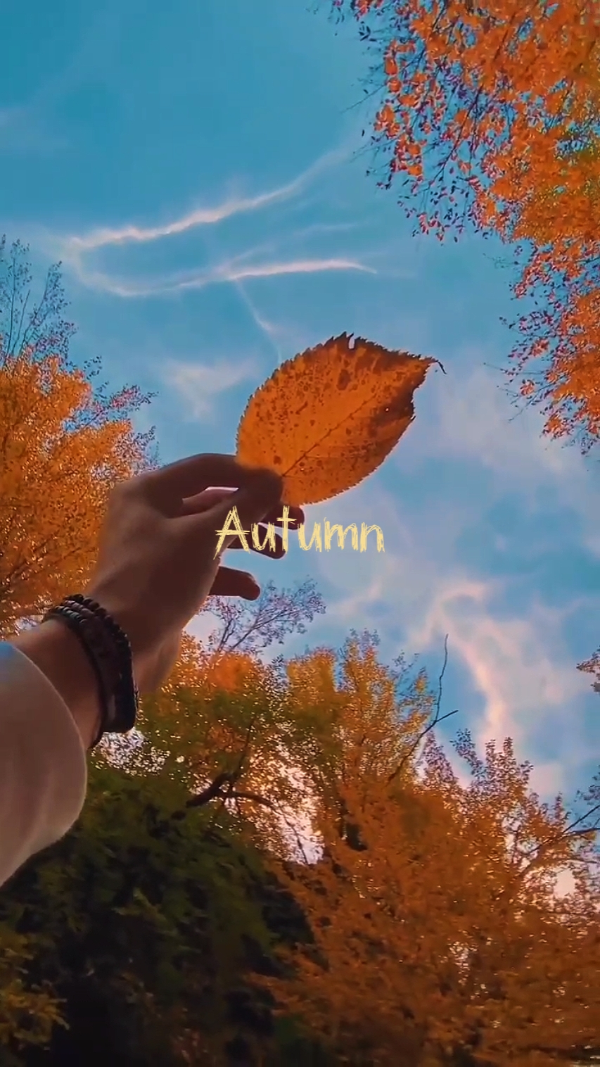 doux automne