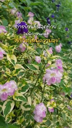 การบ้านชิ้นสุดท้าย