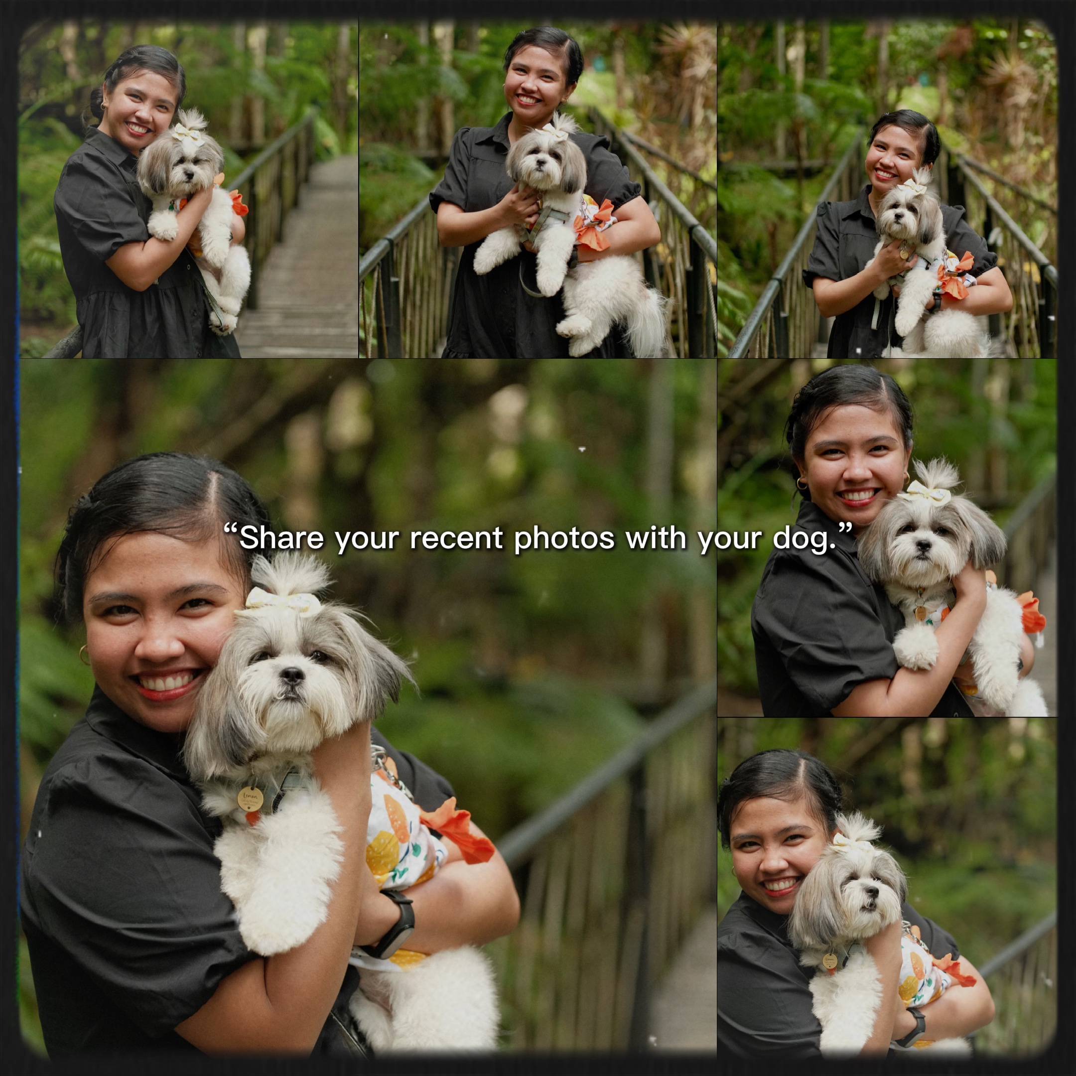 Fotos mit Ihrem Hund