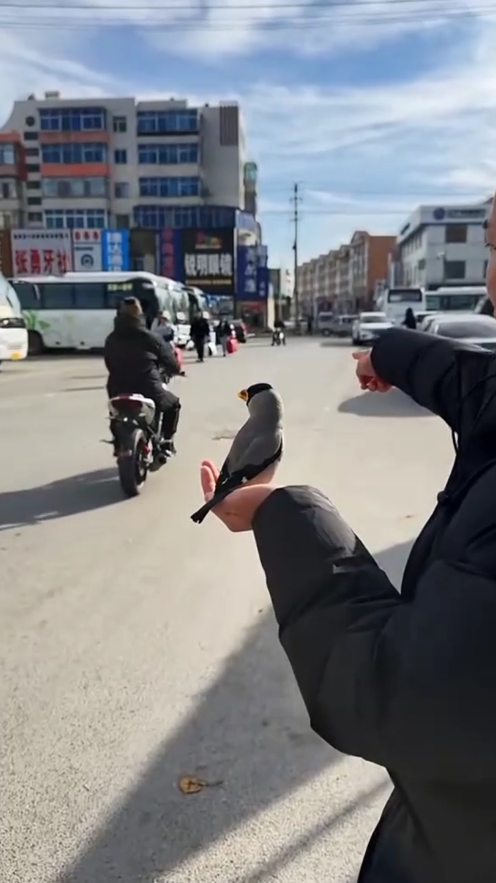 재미있는 동물 하하 