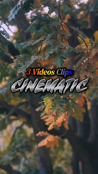 3 Videos Clips