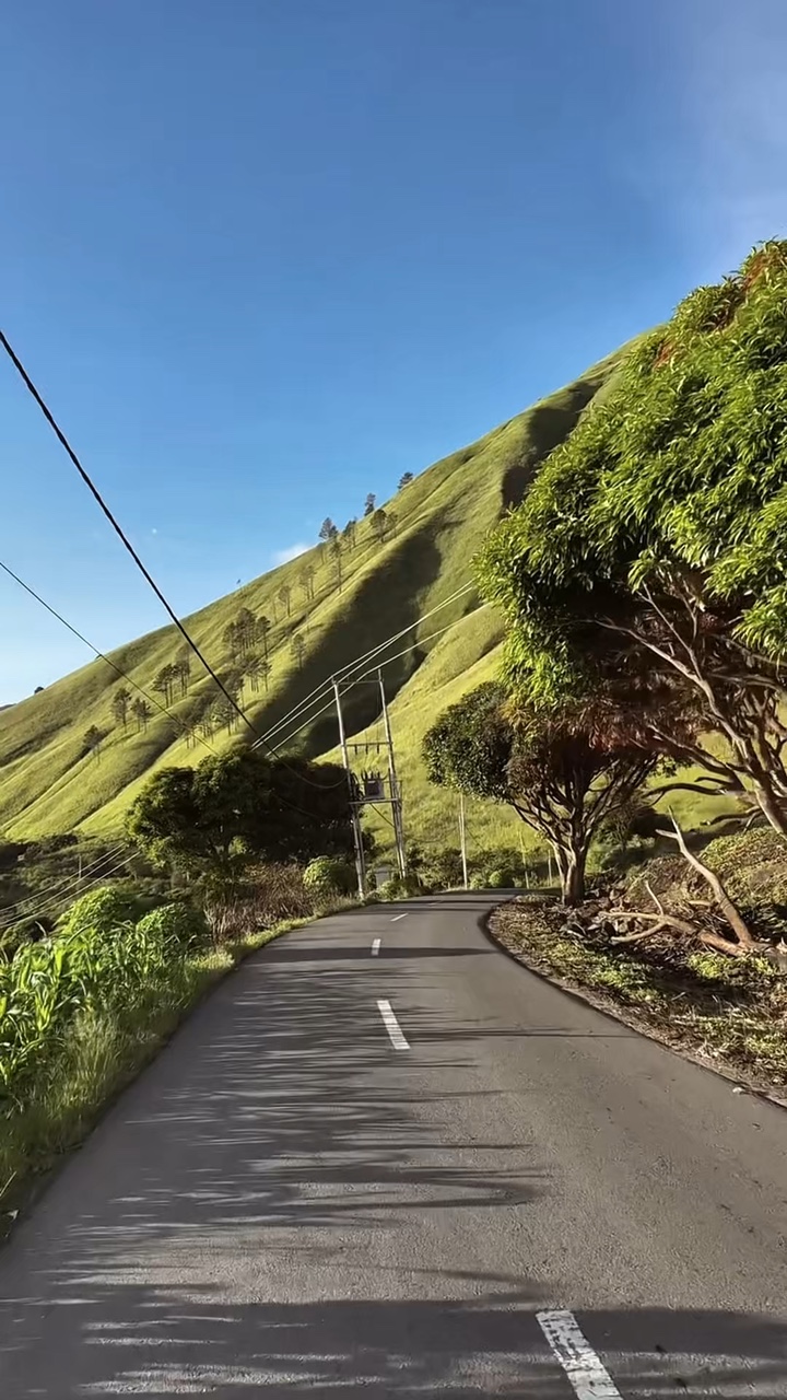 Viaje por carretera 