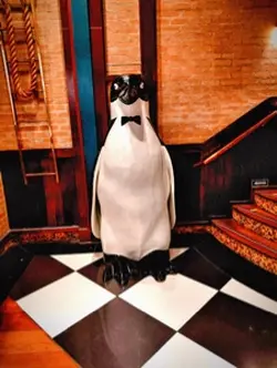 Pinguim tá on