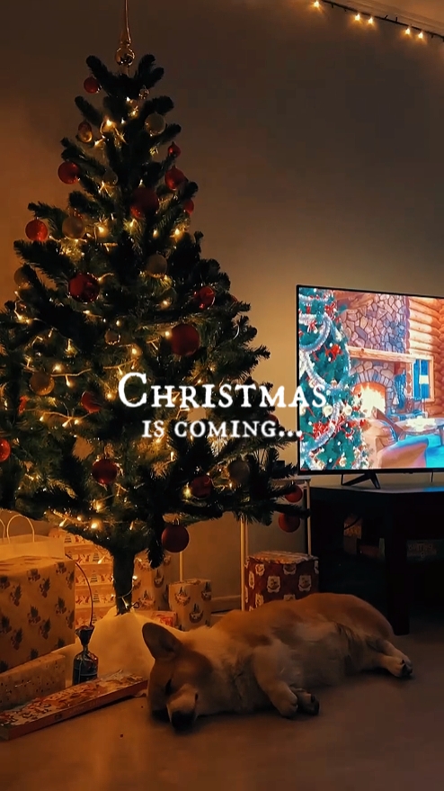 Se acerca la Navidad