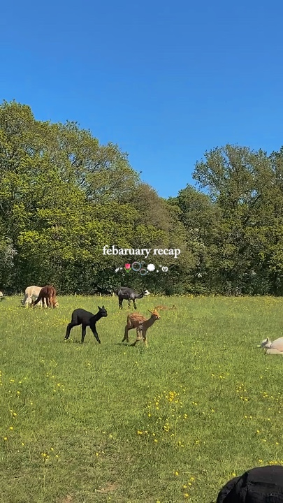 february recap