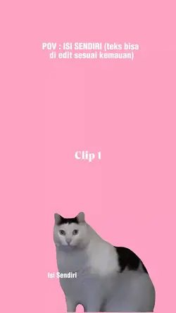 hah cat hah kucing