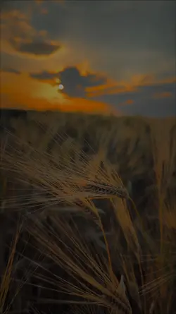 Efsane şablon 