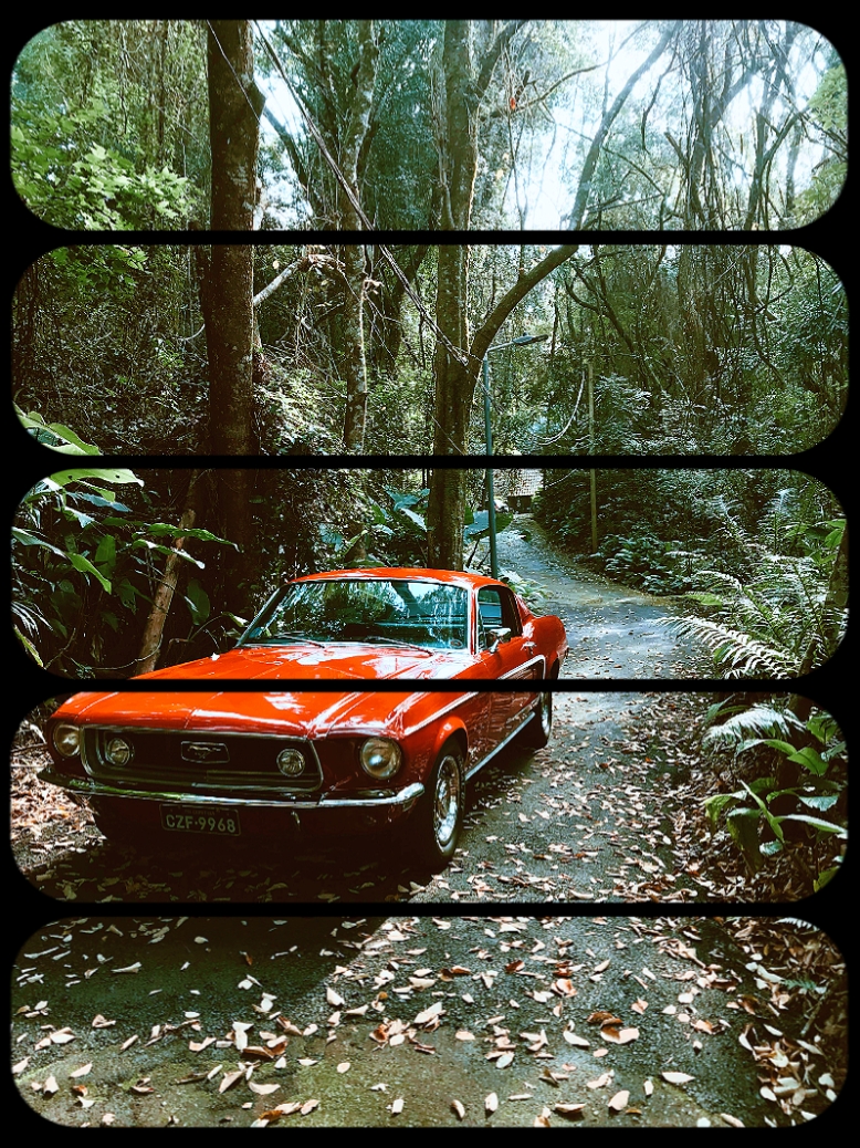 1 effet photo / vidéo