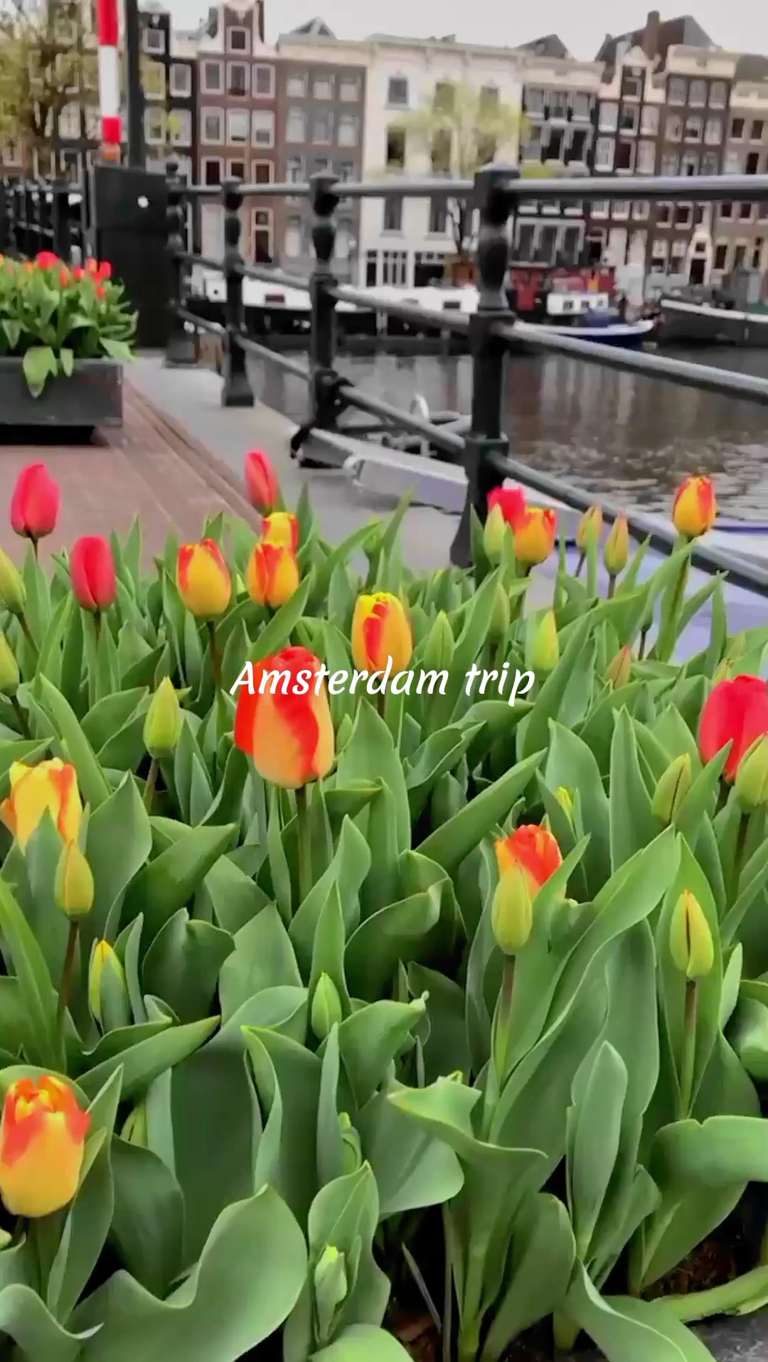 Reise nach Amsterdam