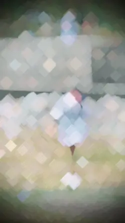 Sad SlowMo+Masking