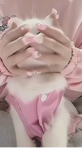 Kedi aşığı olanlar