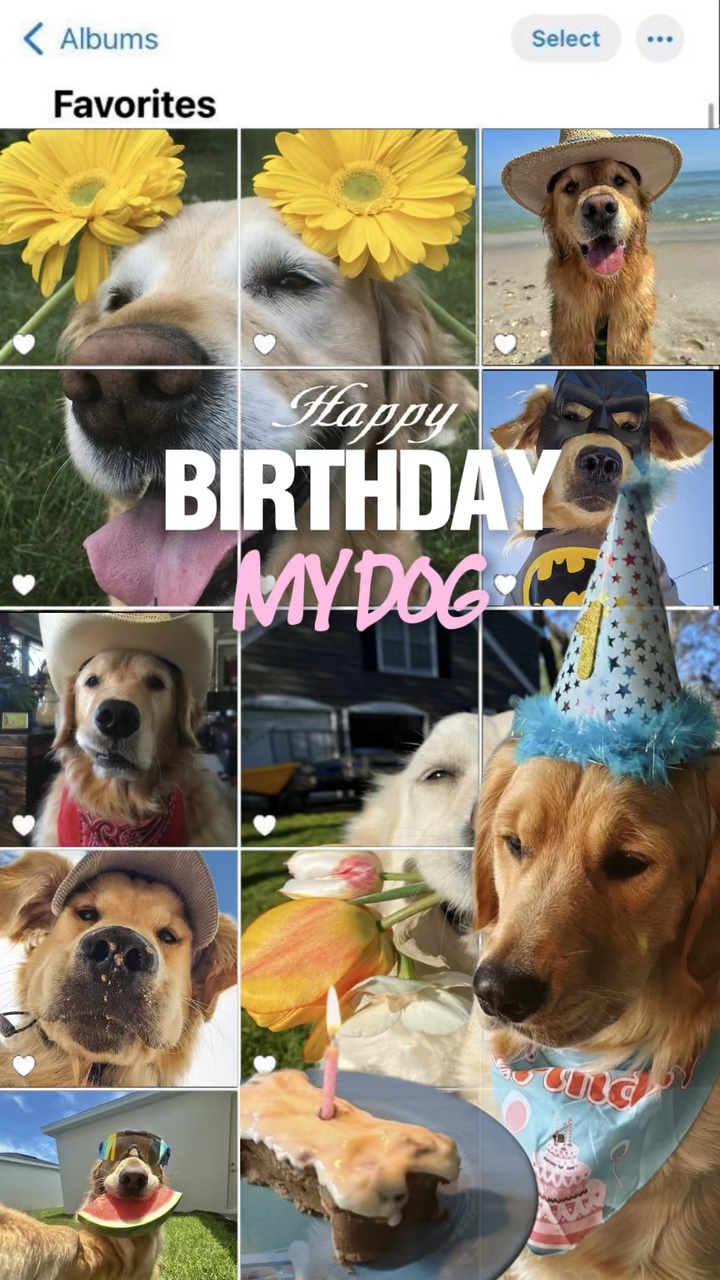 Feliz cumpleaños perro