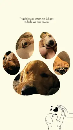 Vives en mi corazón 