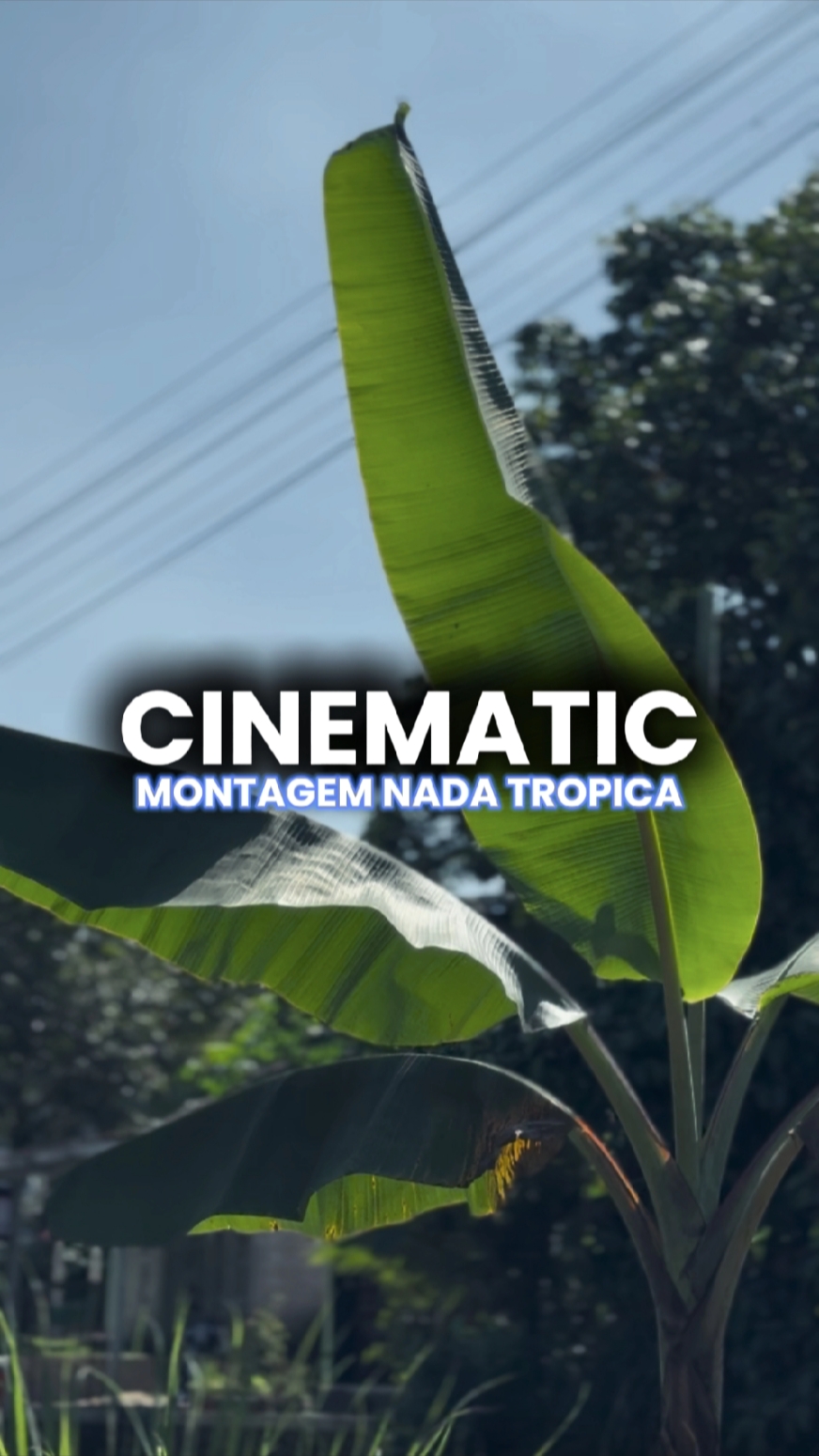 TROPIKA NADA MONTAGM