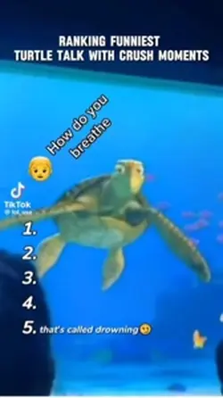 Turtle Crush