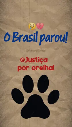Cachorro orelha 