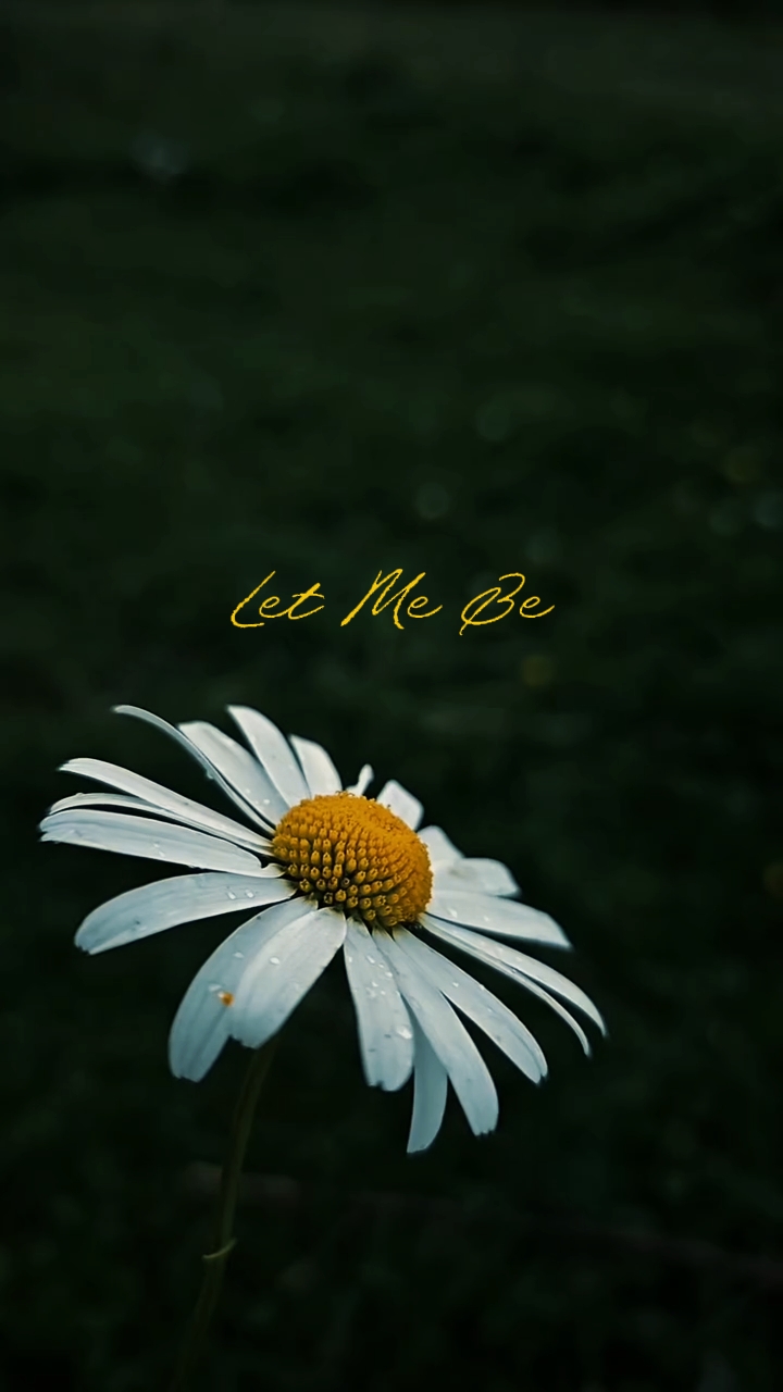 Let Me  Be