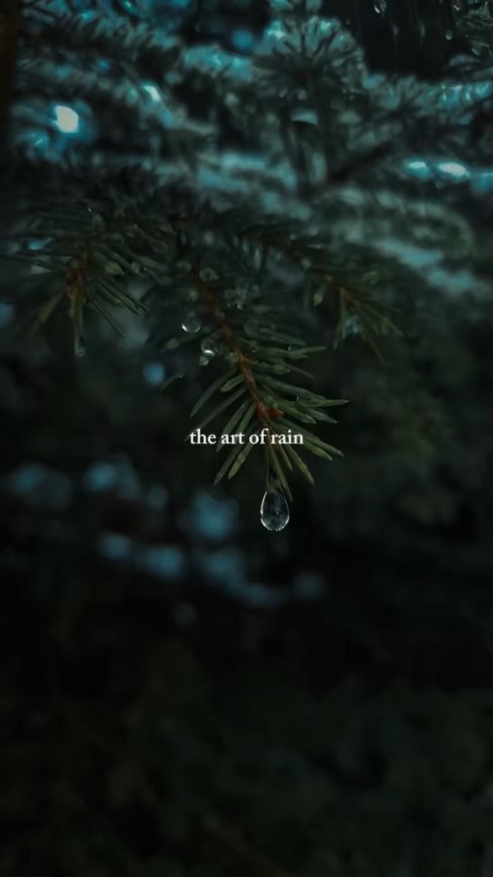 the art of rain