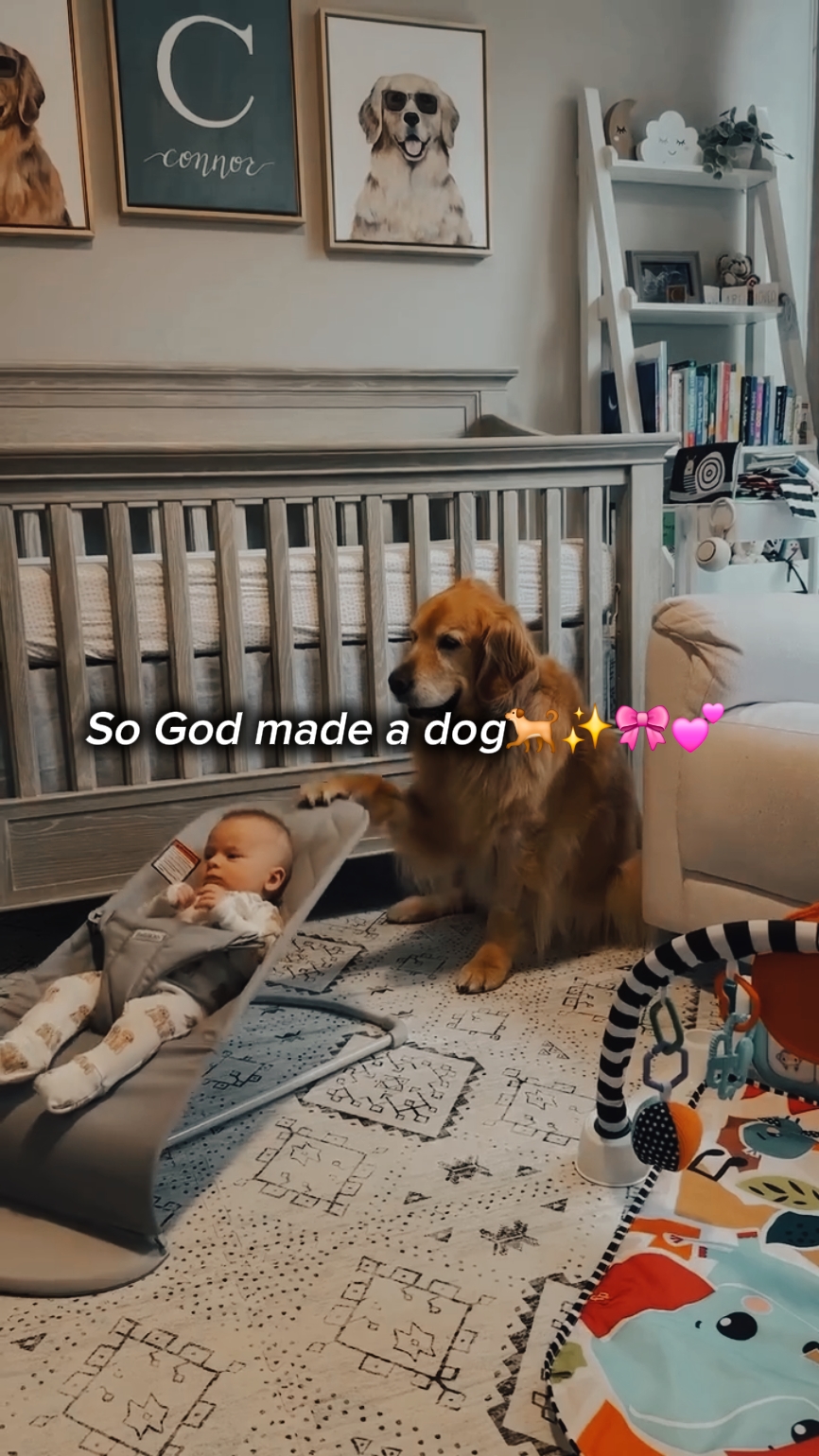 Então Deus fez um cachorro