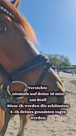 Besten 4-5h