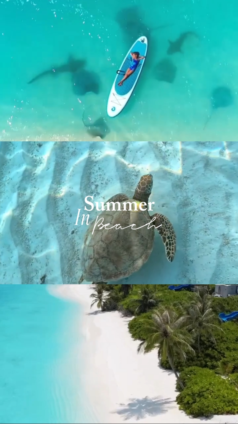 L'été à la plage