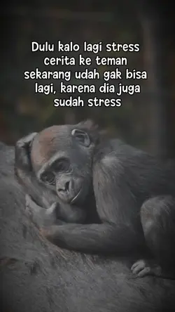 story wa
