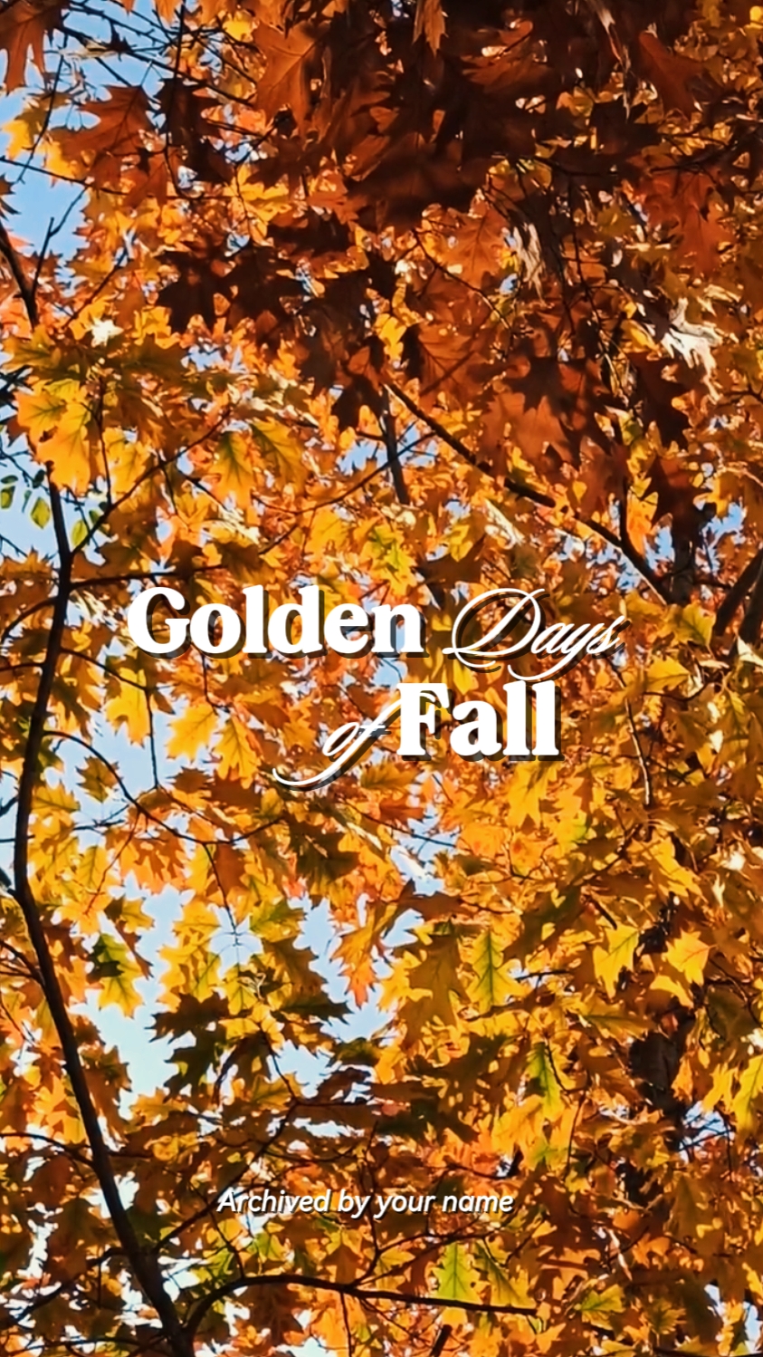Autumn Vibes