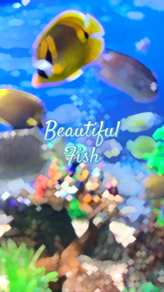 Vlog Peixe