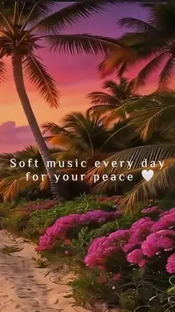 Soft Moments 💫