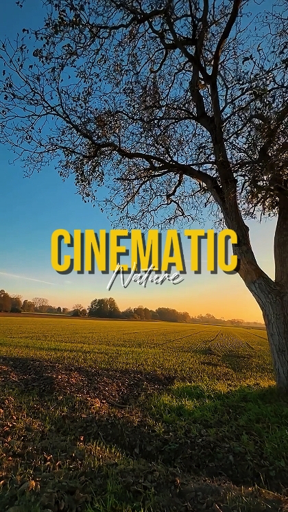 NATUREZA CINEMÁTICA