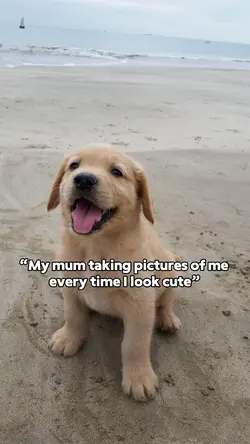 Look Cute 