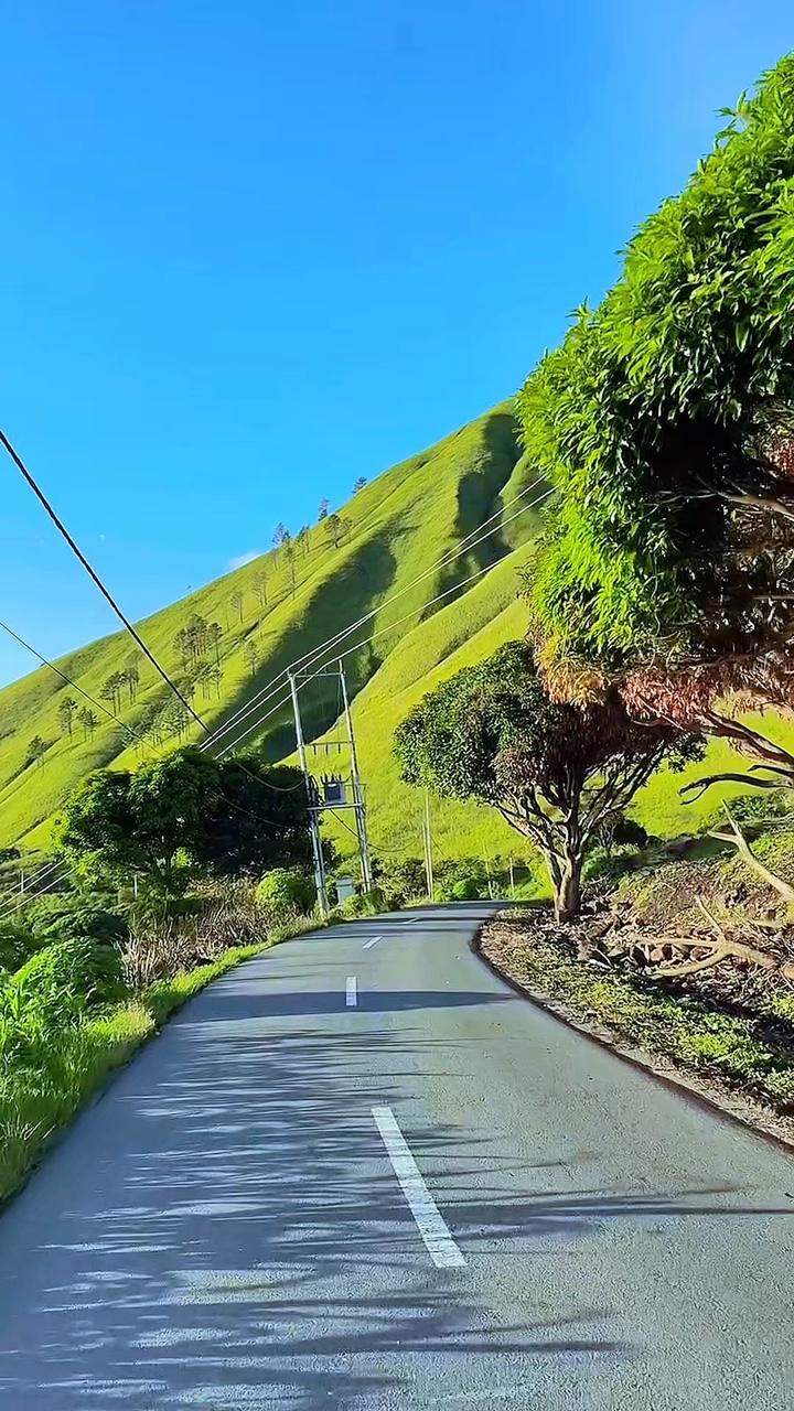 4 video perjalanan darat