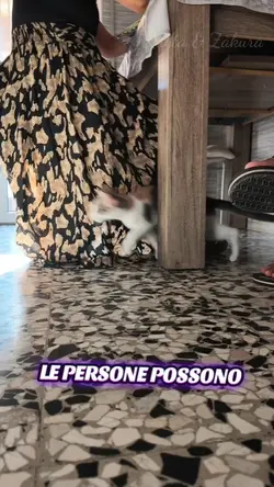 le persone dimentica